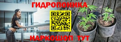 бошки Заводоуковск