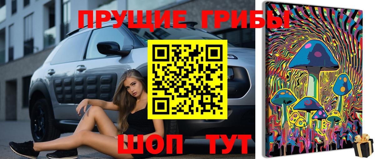 Галлюциногенные грибы ЛСД  Вход с VPN  Галлюциногенные грибы Magic Shrooms  Мурино 