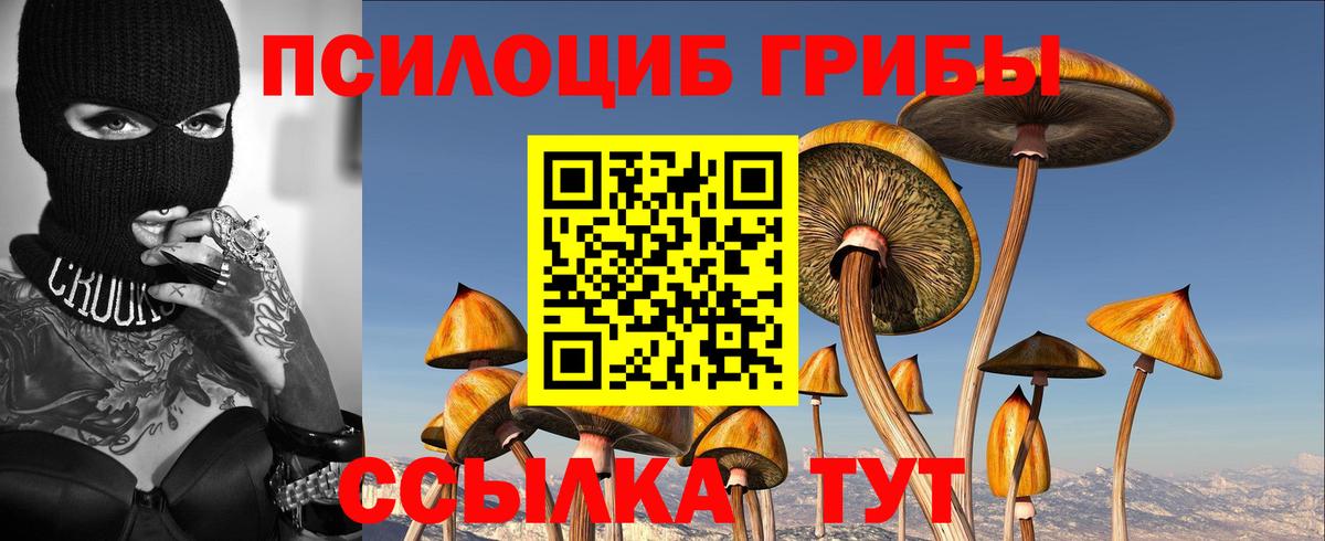 Галлюциногенные грибы Cubensis Мурино